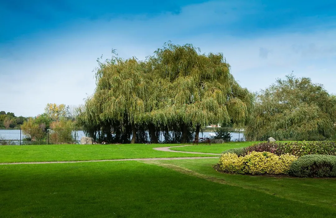 Holiday Inn Basildon By Ihg-1
