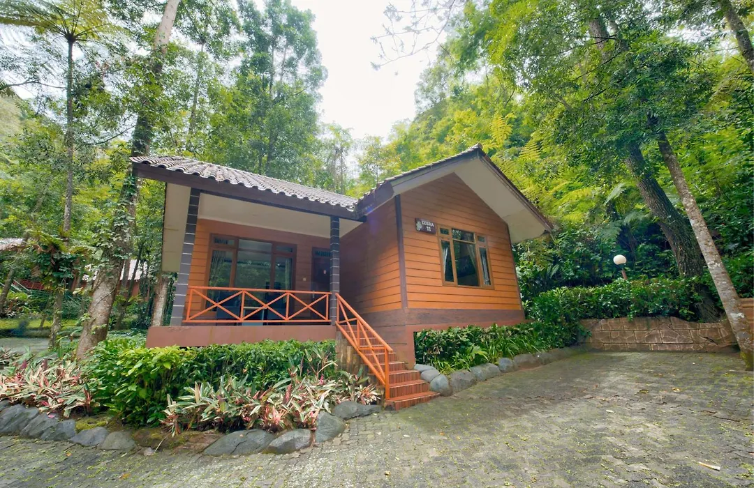 Safari Resort-1