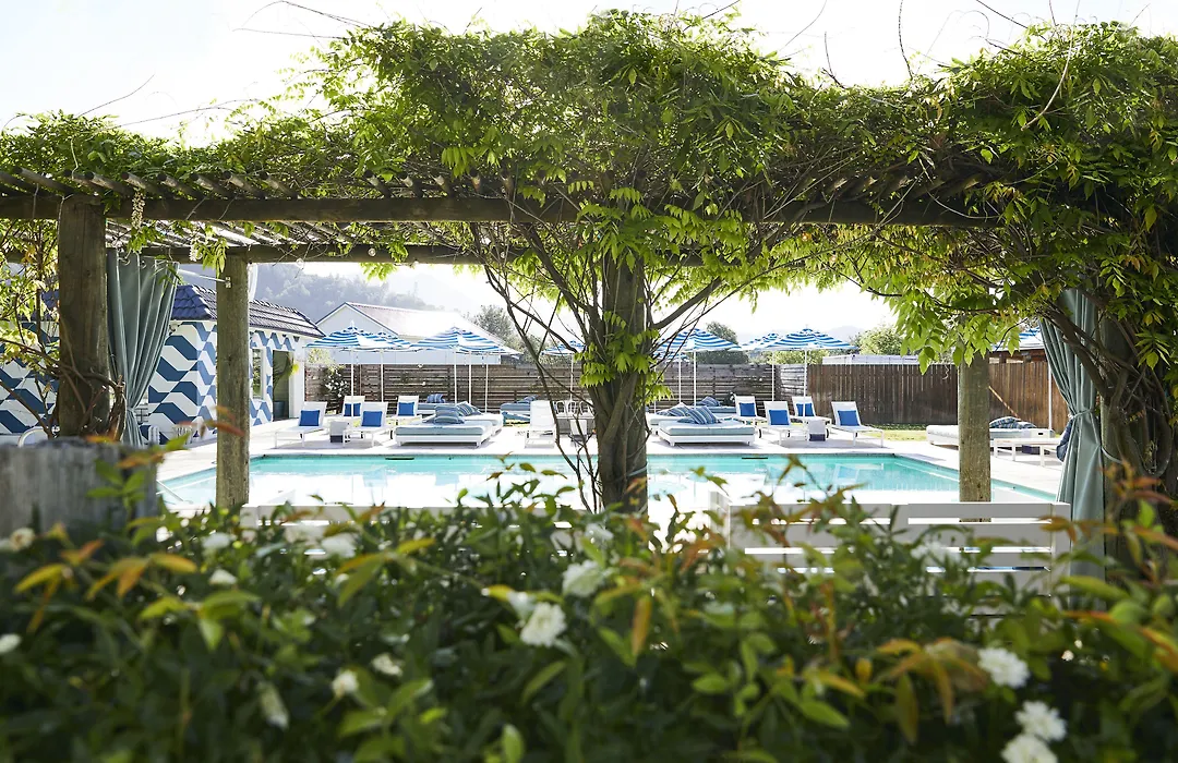 Calistoga Motor Lodge And Spa-1
