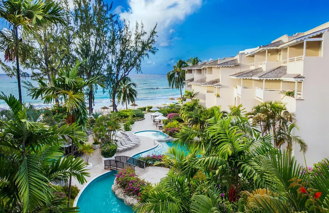 Bougainvillea Barbados-1