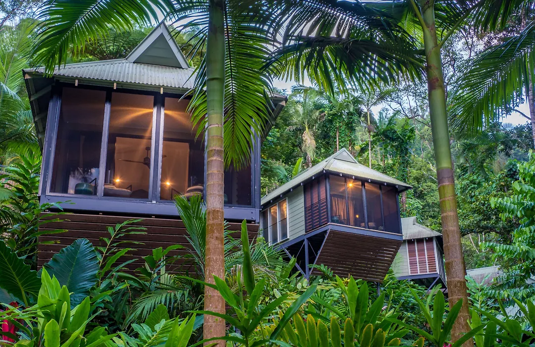 Daintree Ecolodge-1