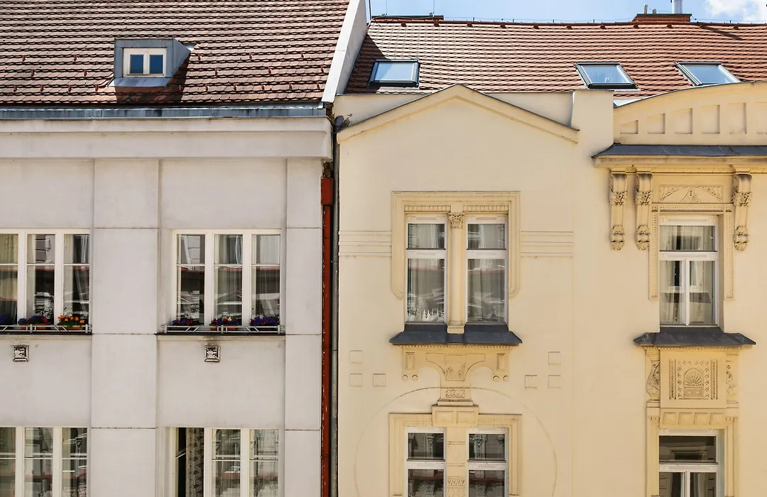Numa Prague Root-1