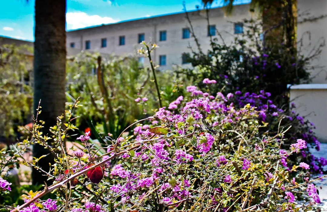 Hotel Majesty Bari-1
