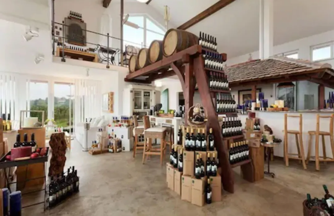 Burgunderhof Bodensee - Adults only-1