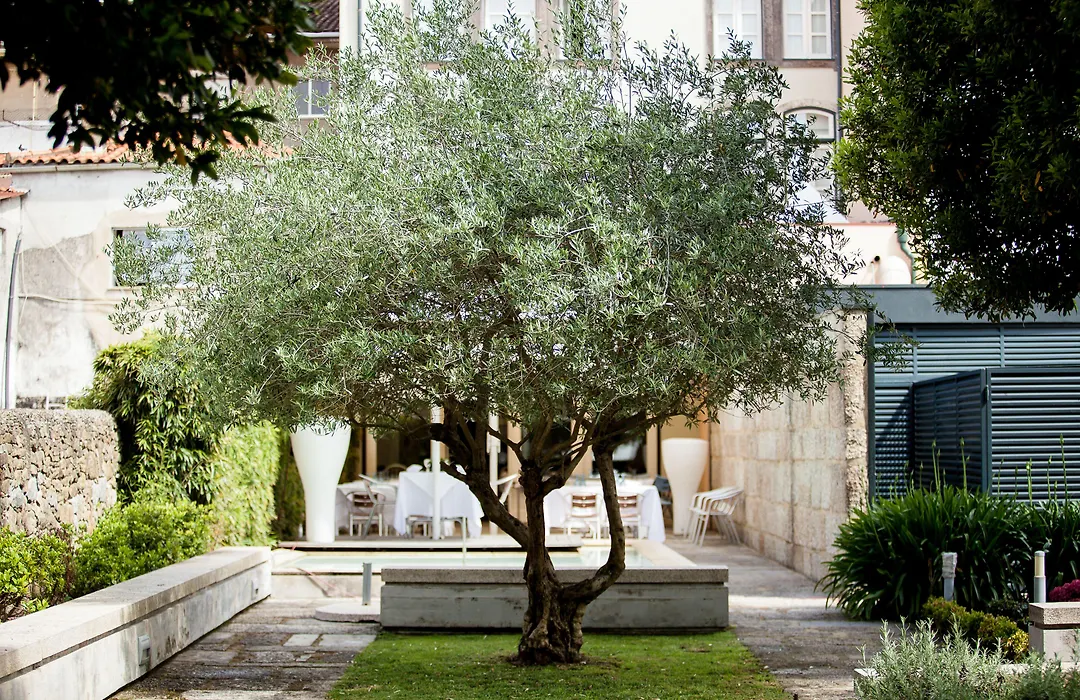 Hotel Bracara Augusta-1