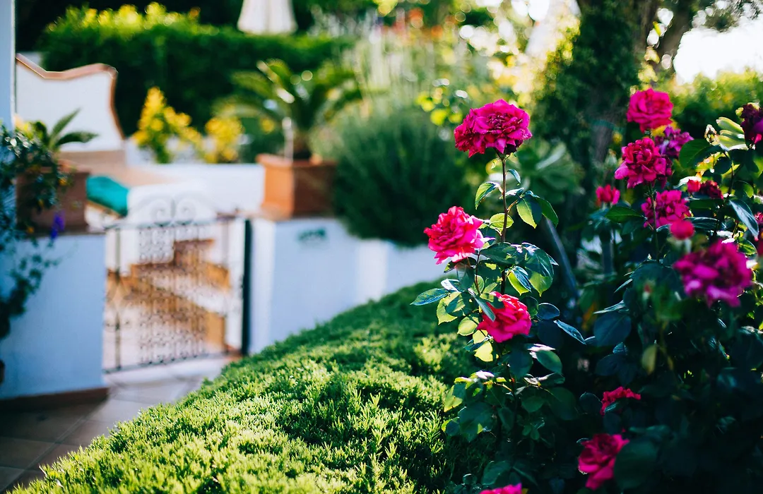 Il Giardino dell'Arte-1