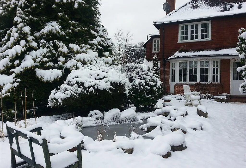 Rosemead Guest House-1