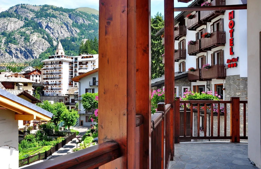 Hotel Berthod-1