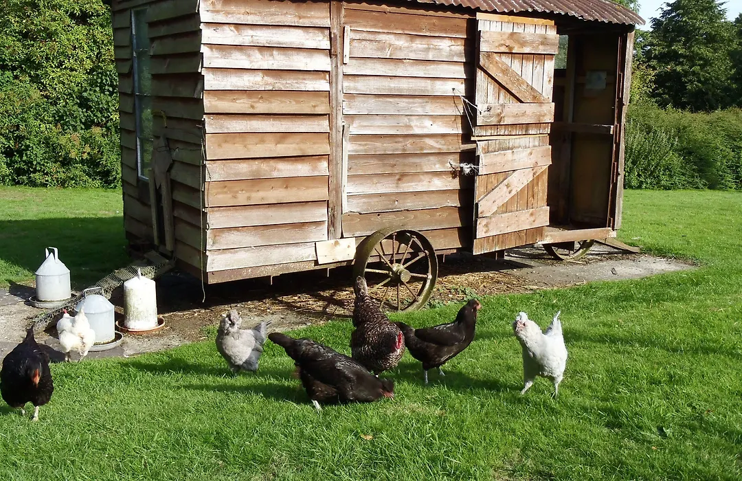 Manor Farm B&B-1