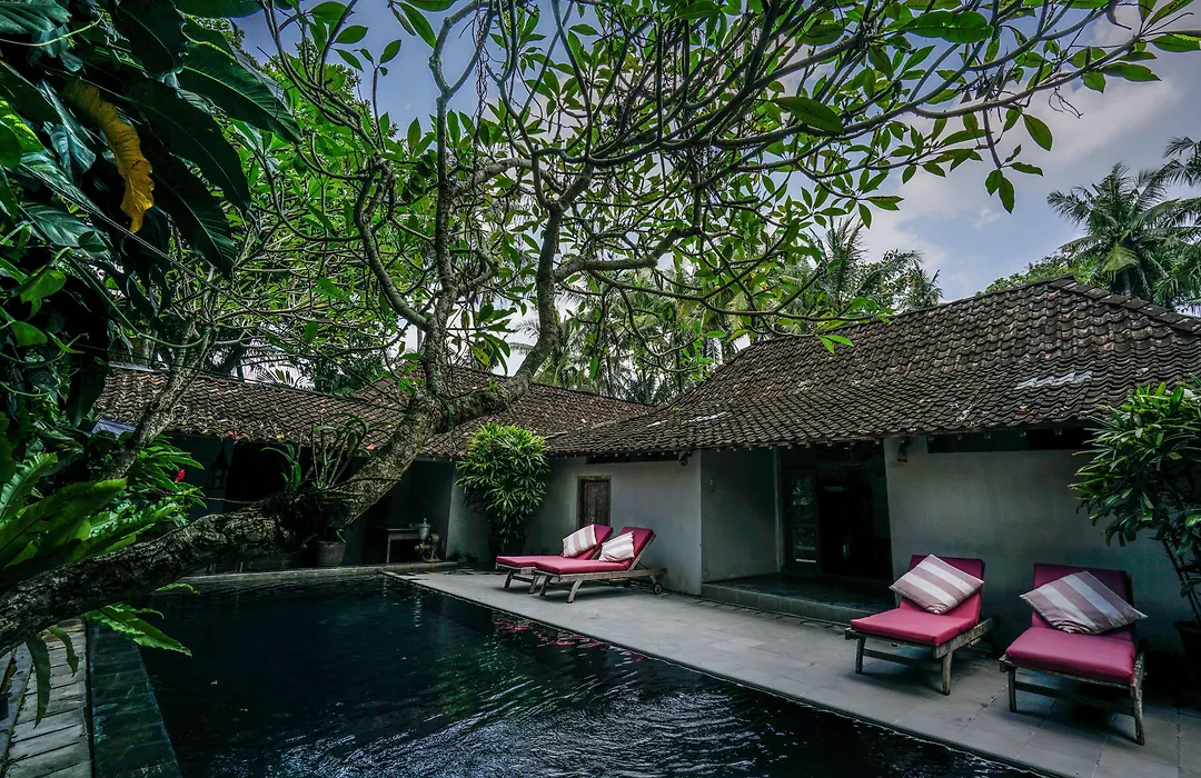D'Omah Yogya Hotel-1