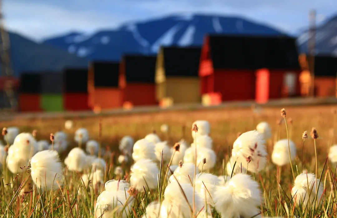 Svalbard Hotell | Polfareren-1