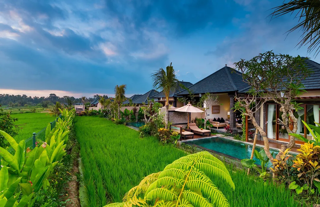 Bliss Ubud Spa Resort-1