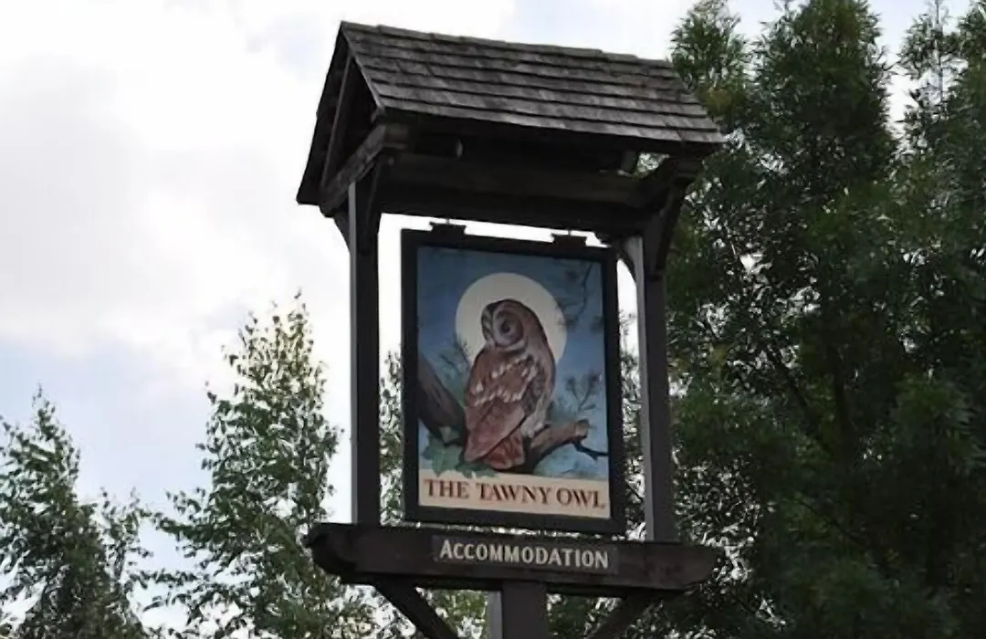 The Tawny Owl-1