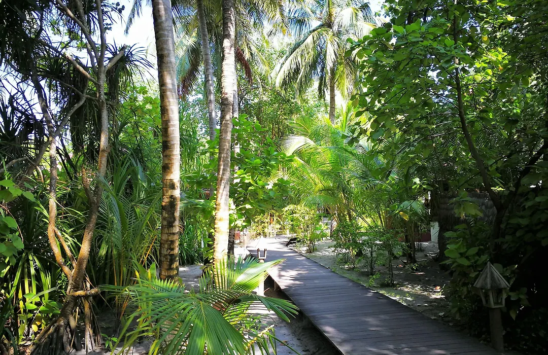 Gangehi Island Resort & Spa-1