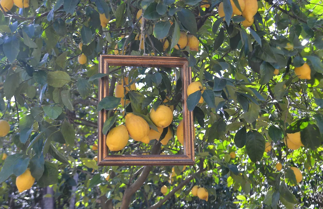Sorrento Experience-1