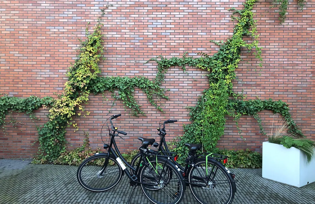 Hyatt Place Amsterdam Airport-1