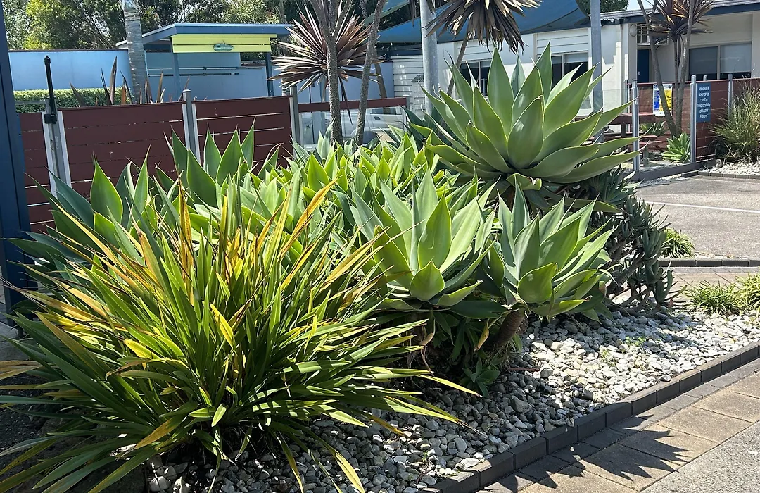 Portarlington Beach Motel-1