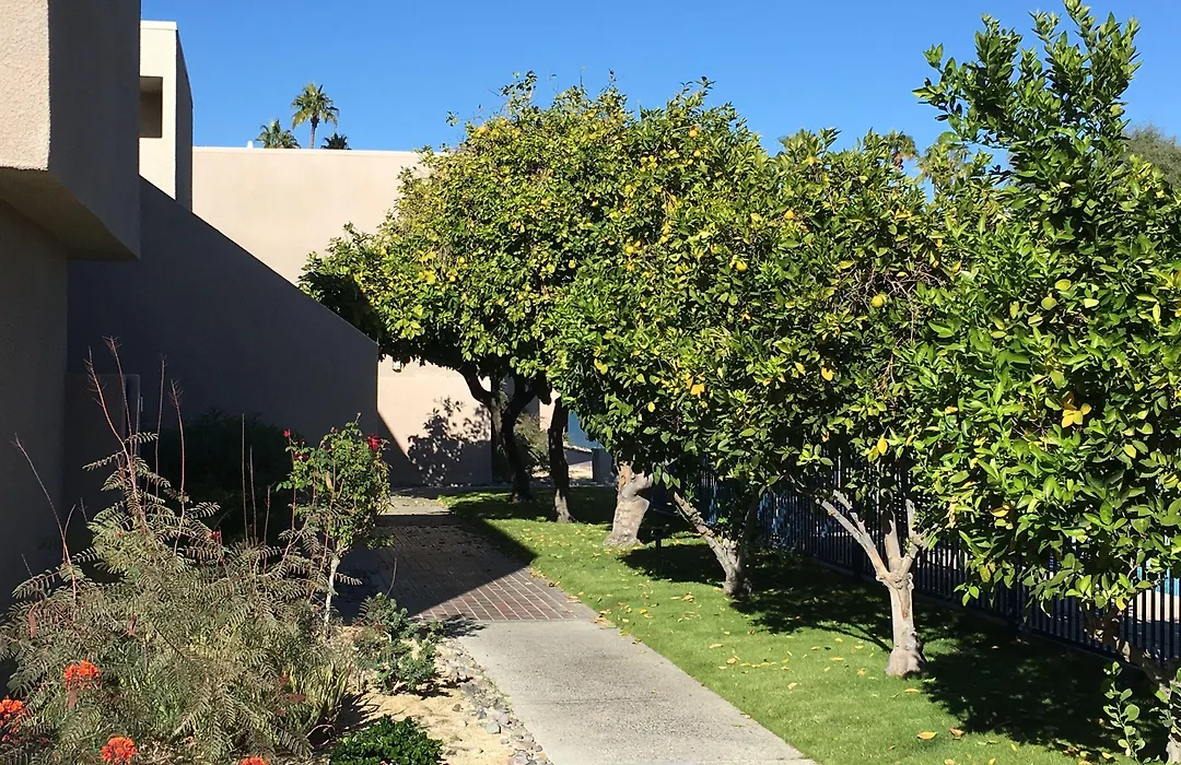 Getaways At Vista Mirage Resort-1