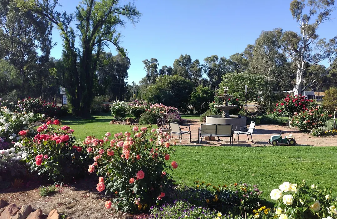 Newell Motor Inn Narrandera-1