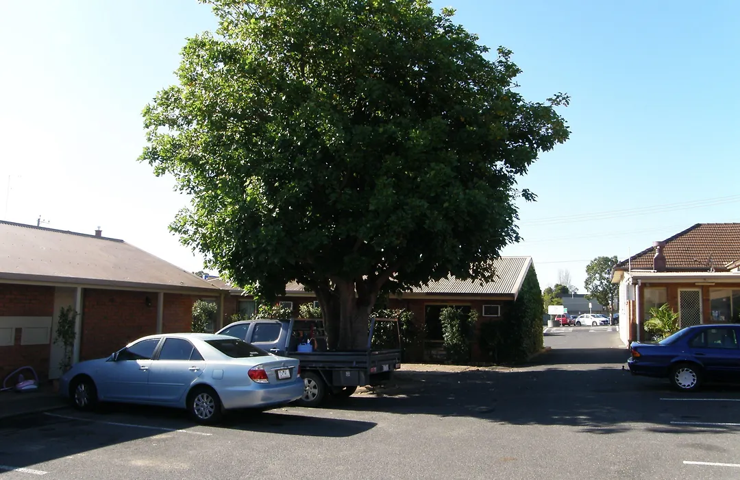 Shannon Motor Inn-1