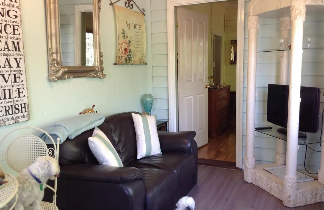 Must Love Dogs B&B & Self Contained Cottage-1
