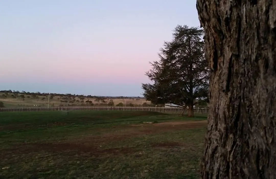 Petersons Armidale Winery And Guesthouse-1