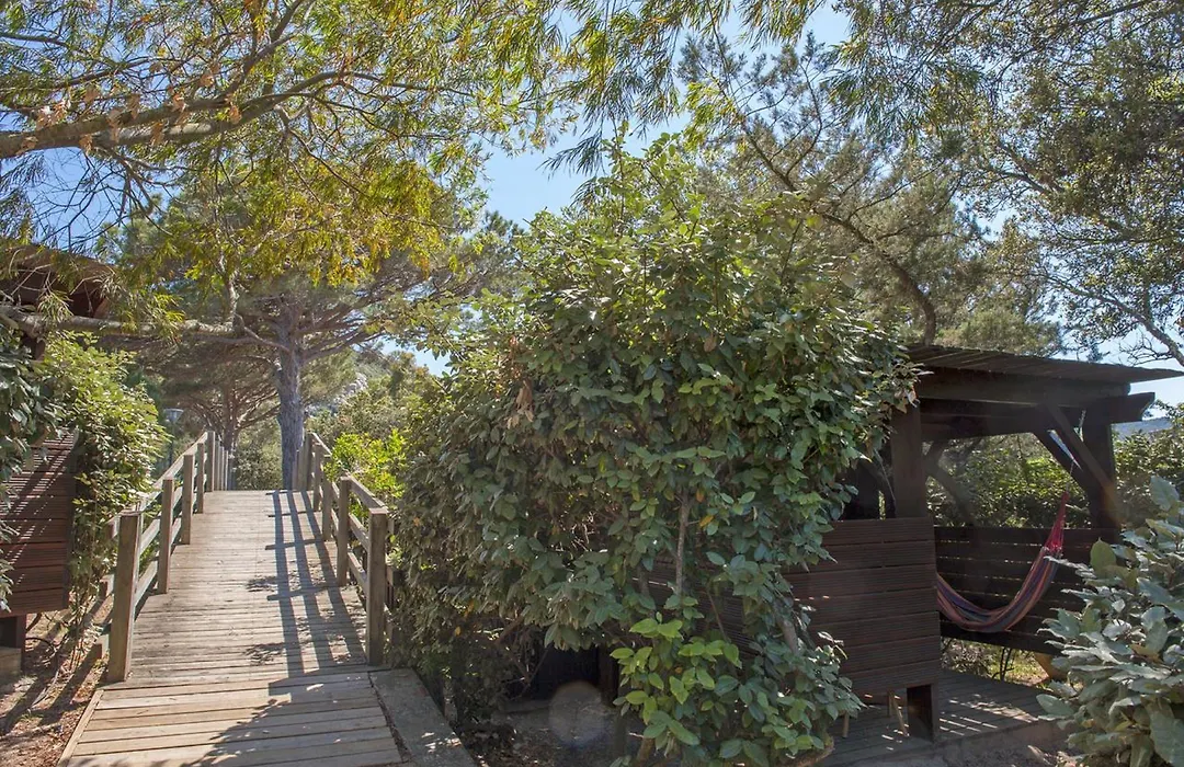 Hôtel&Lodges Moby Dick-1