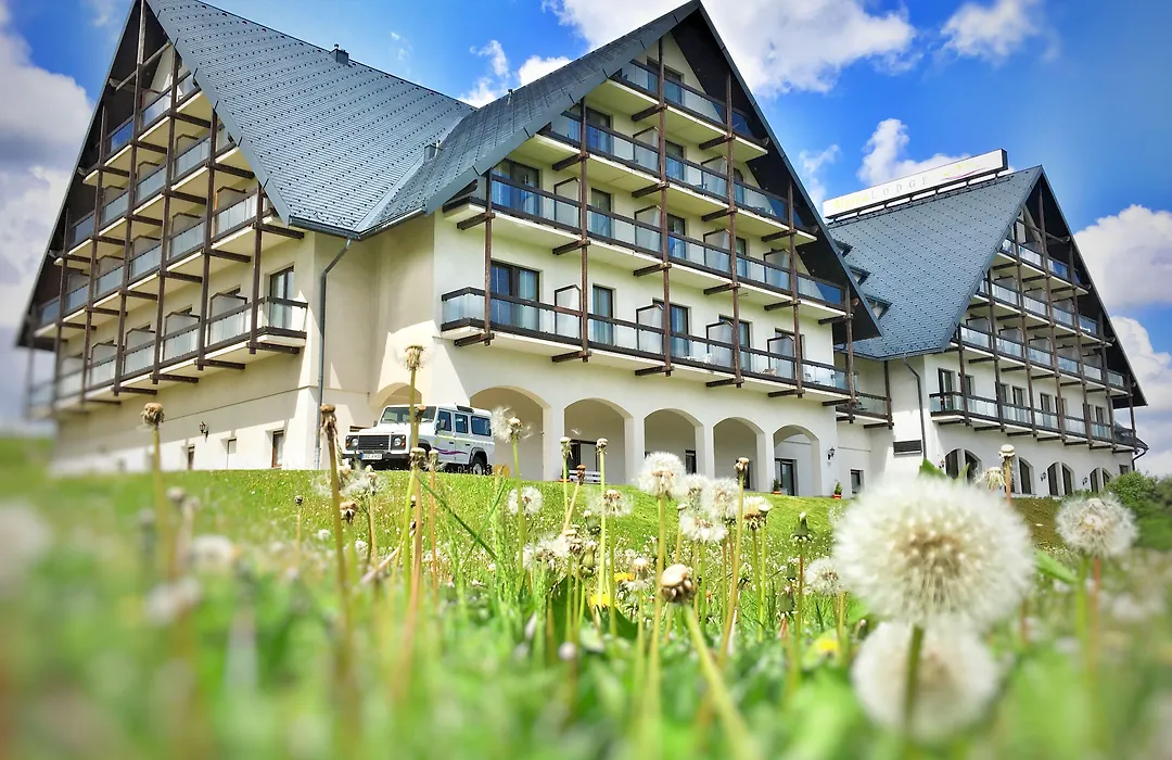 Alpina Lodge Hotel Oberwiesenthal-1