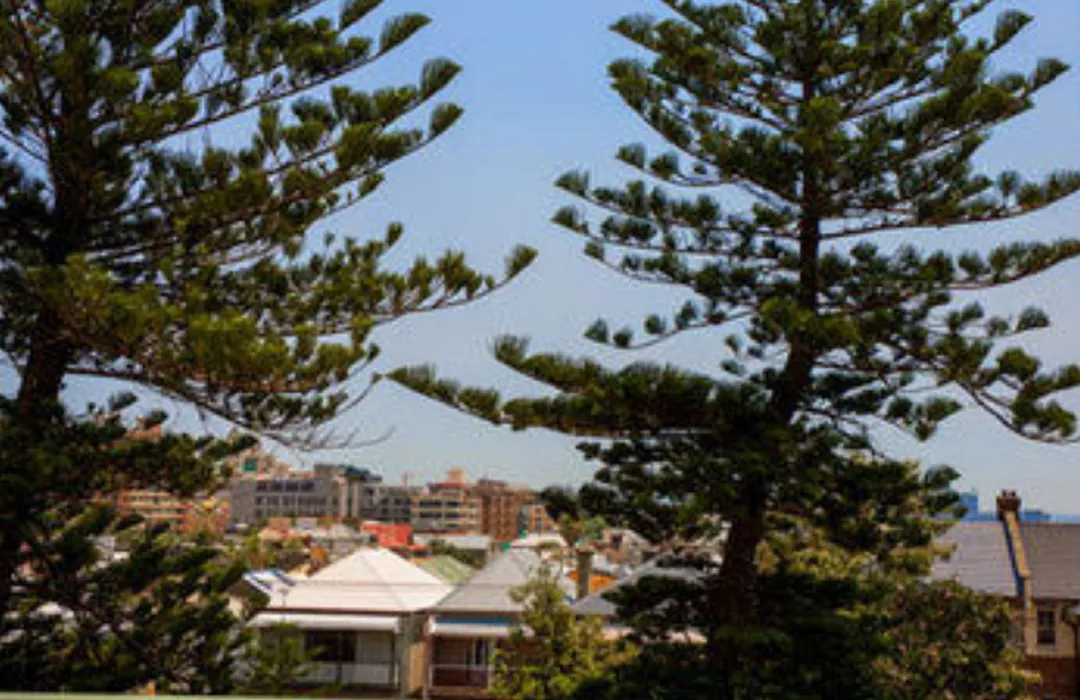 Alloggio Newcastle Beach-1