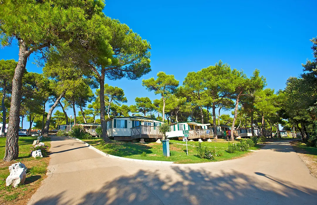 Arena Indije Mobile Homes-1