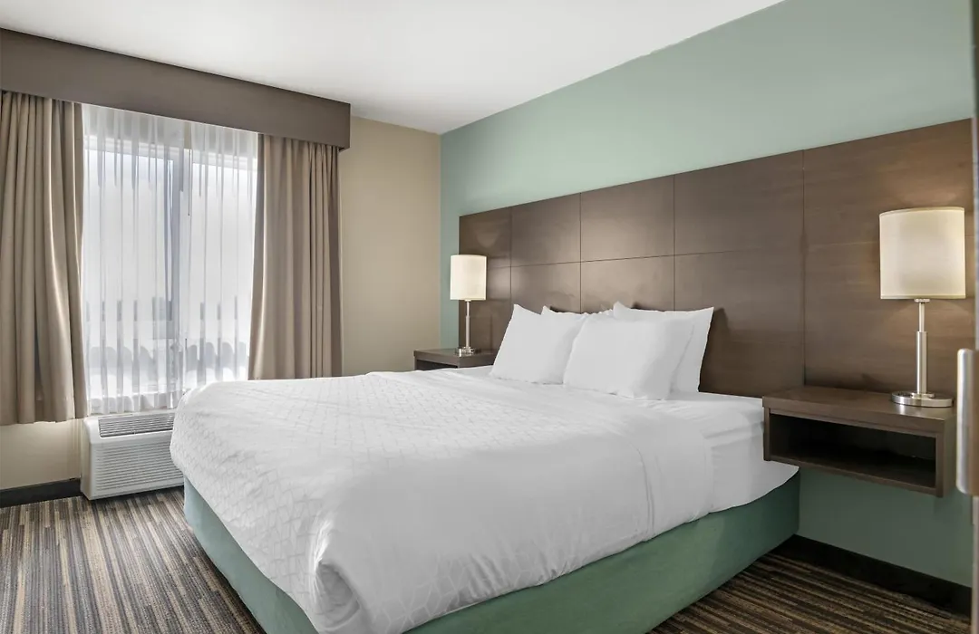 Best Western Plus Dartmouth Hotel & Suites-1