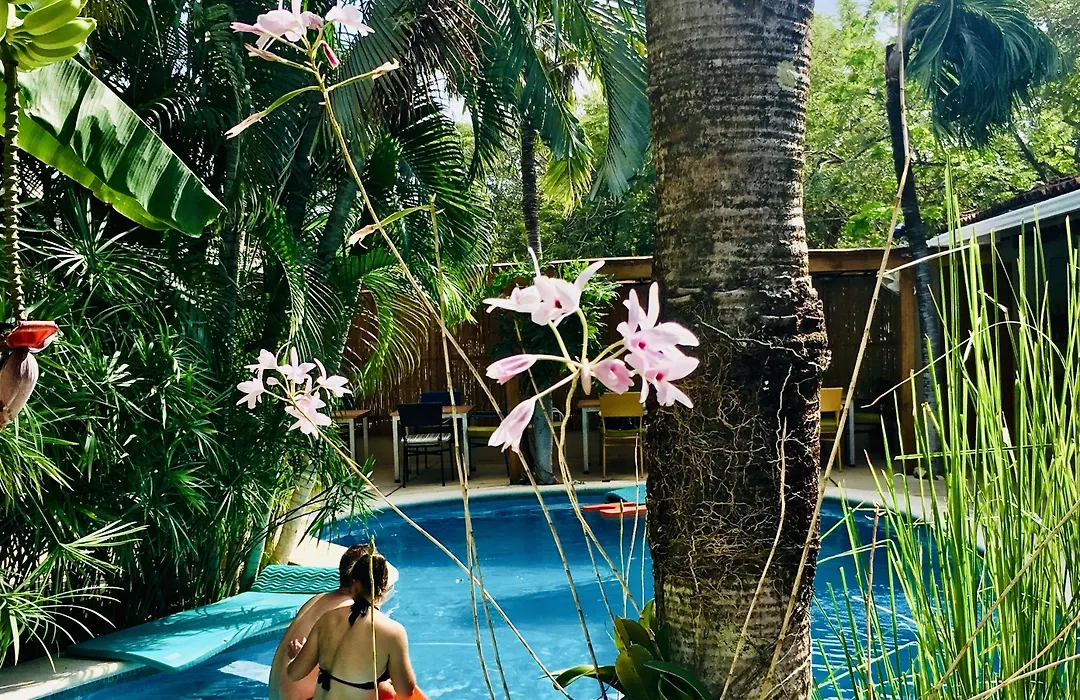 Ten North Tamarindo Beach Hotel-1