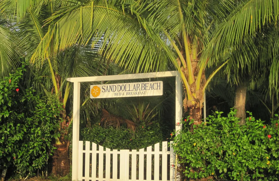 Sand Dollar Beach Bed & Breakfast-1