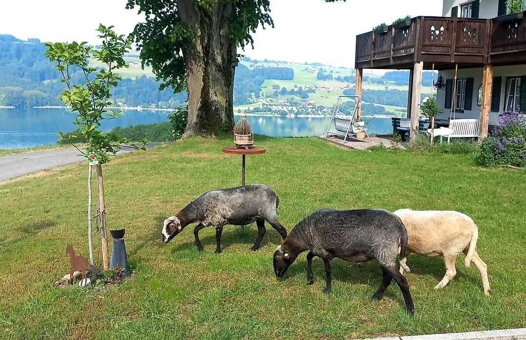 Roiderhof Irrsee-1