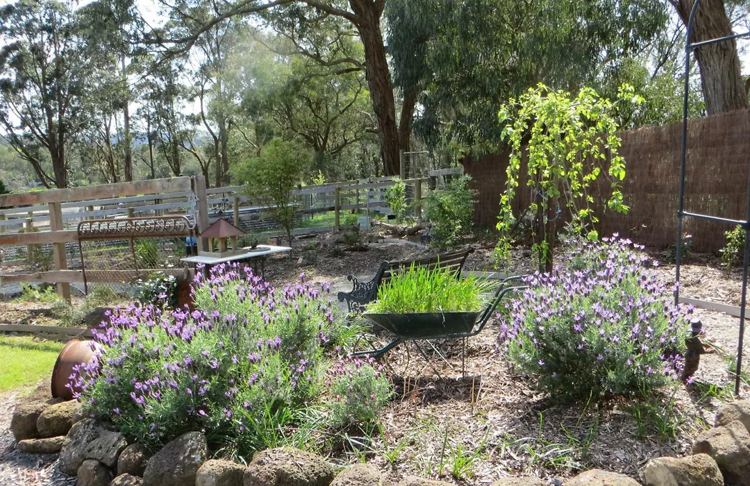 Honeyeater Cottage-1