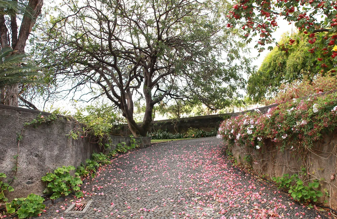 Quinta Das Malvas - Quinta De Santa Luzia-1