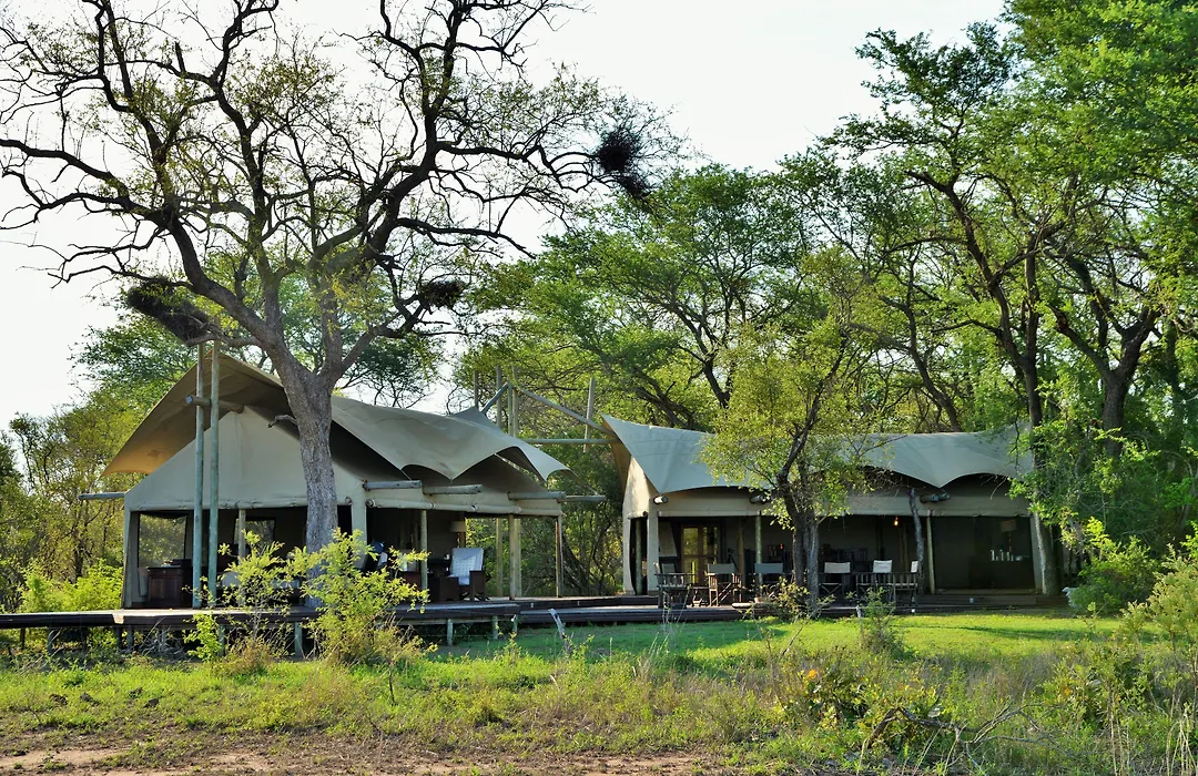Rhino Walking Safaris-1