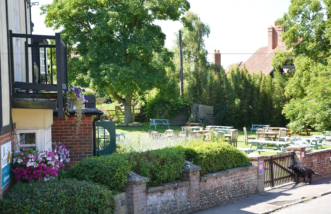 The Dolphin Inn-1