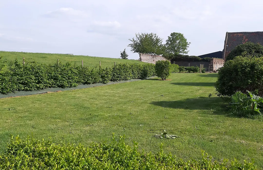 Maison d'hôtes La Rose Laitière-1