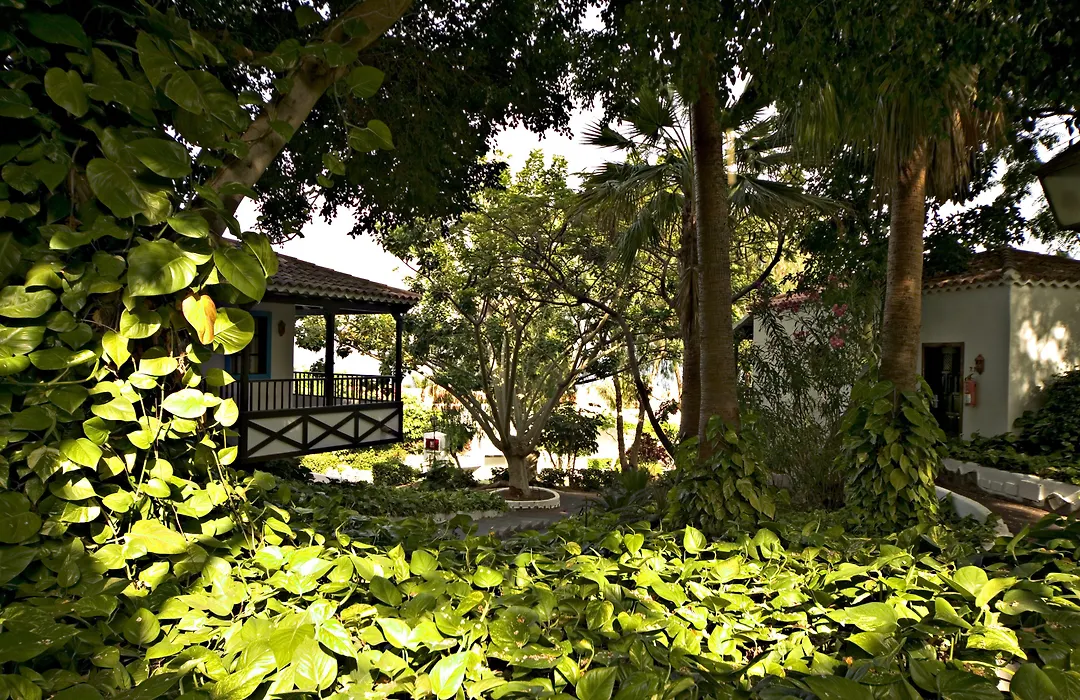 Hotel Jardin Tecina-1