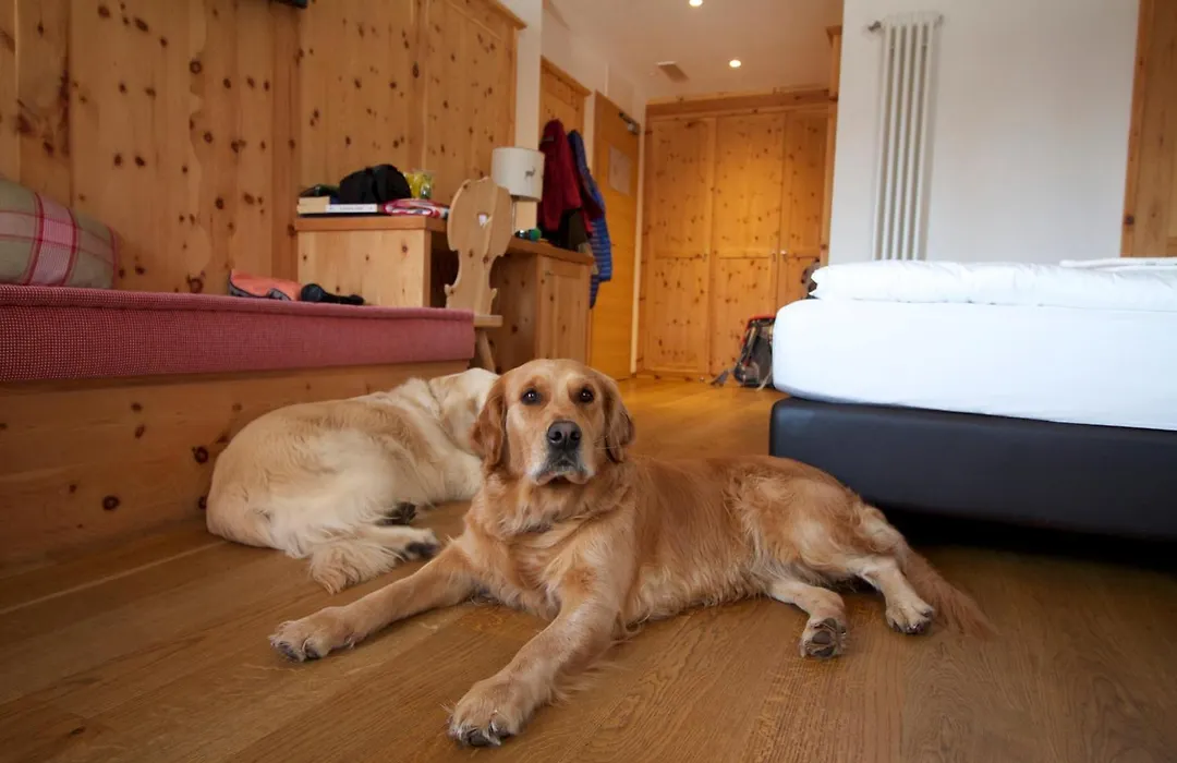 Hotel Shandranj-1