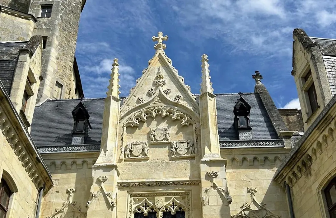 Château de Ternay-1