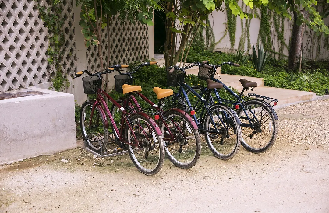 Alea Tulum-1
