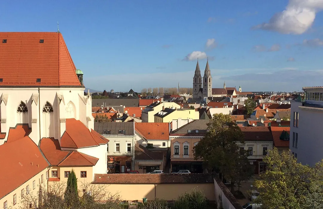 Hilton Garden Inn Wiener Neustadt-1