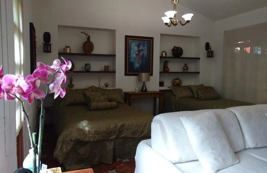 Casa D'Lobo Hotel Boutique-1