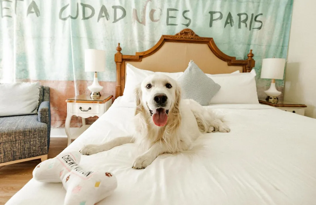 Havana Cabana At Key West (Adults Only)-1