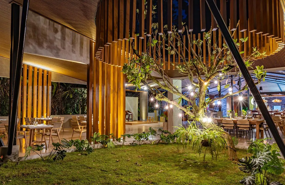 Noah'S Forest By Tifakara-1