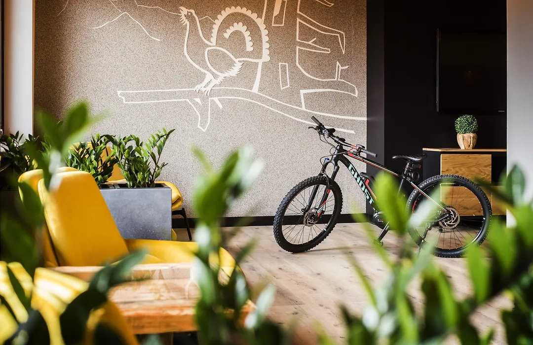 Natura Hotel Bodenmais - inkl Soft- und Heißgetränkeflat-1