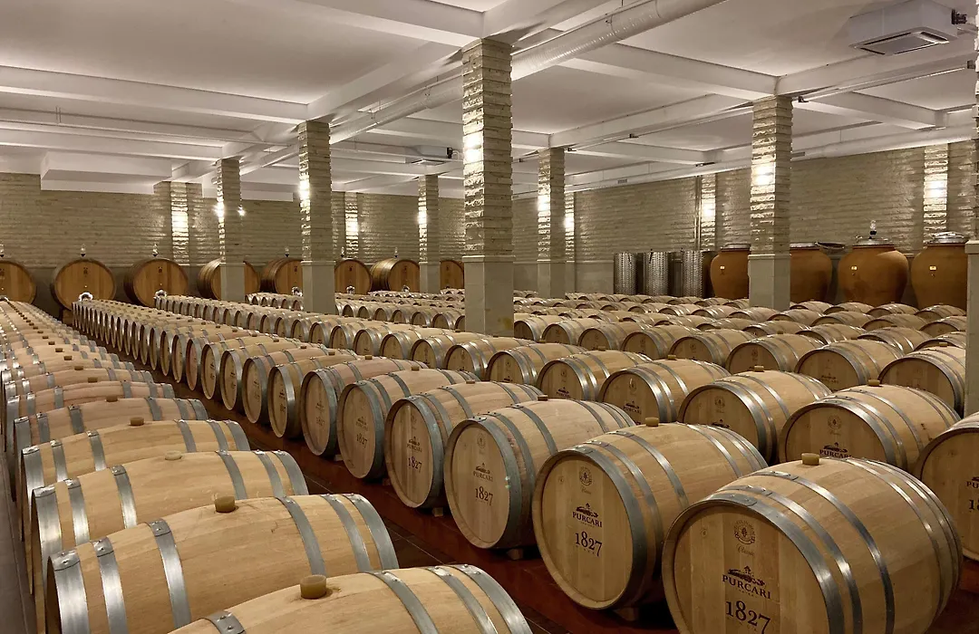 Chateau Purcari-1