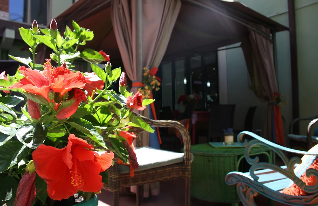 Hotel Ambrosiano-1